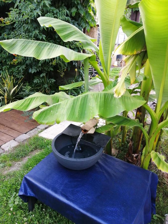 Jacuzzi Massage Sur Rdv,Duo,Reiki,Californien, Reflexologie Plantaire, Et Bouteille Mousseux Offerte Bed and Breakfast Ferolles Εξωτερικό φωτογραφία